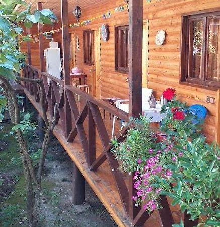 Guest House Nana Gagra Kültér fotó