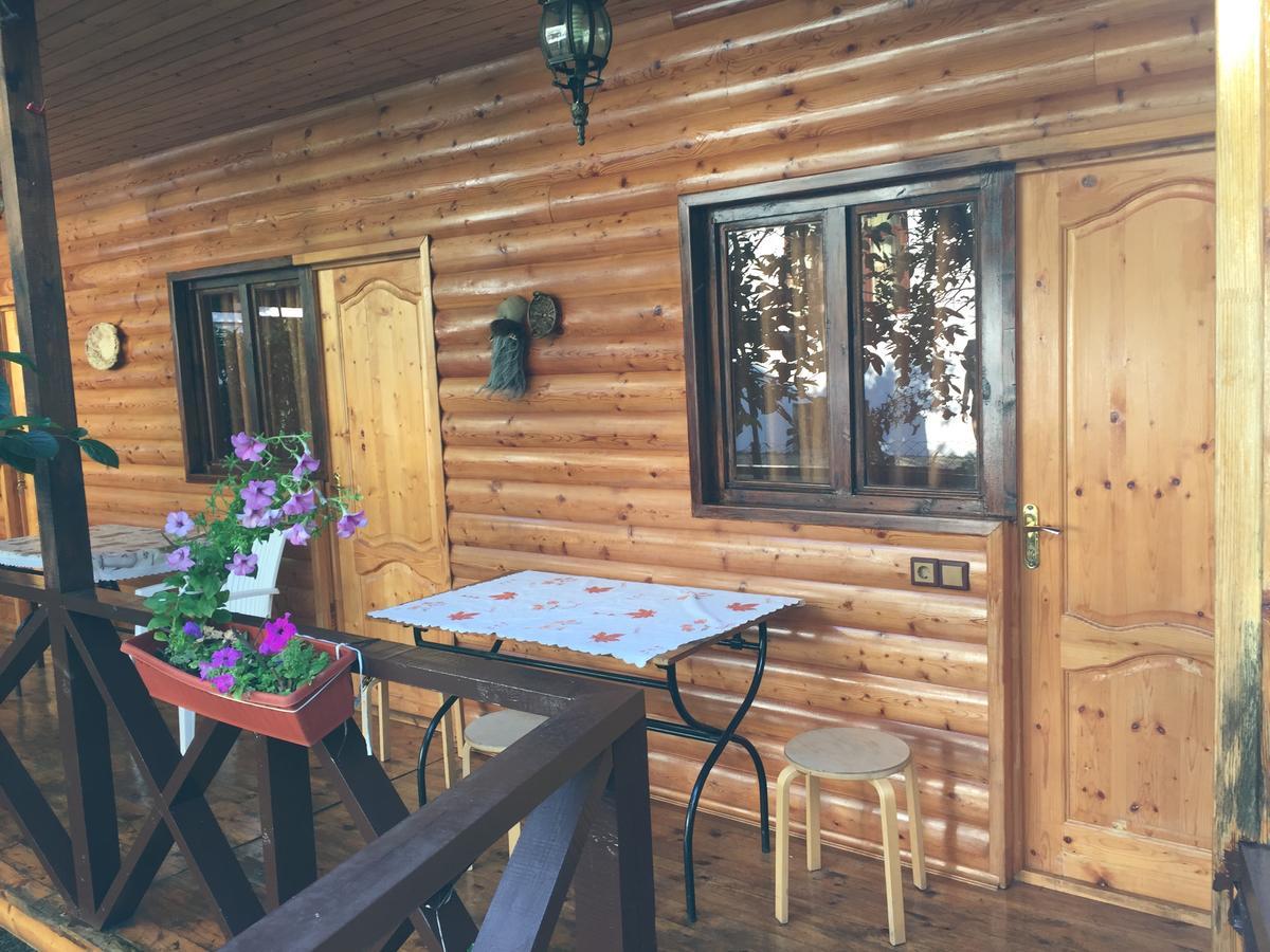 Guest House Nana Gagra Kültér fotó