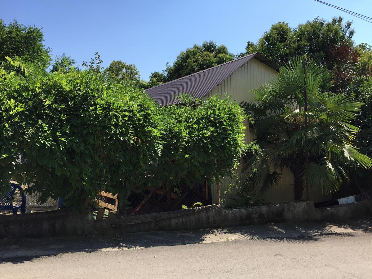 Guest House Nana Gagra Kültér fotó