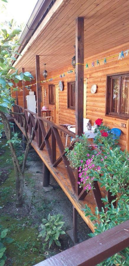 Guest House Nana Gagra Kültér fotó